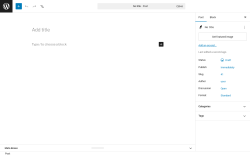Page screenshot: Add Post ‹ Test site — WordPress