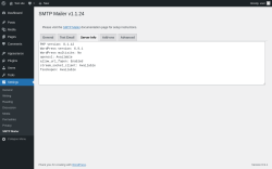 Page screenshot: Settings &rarr; SMTP Mailer &rarr; Server Info