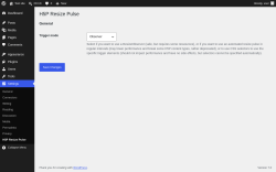Page screenshot: Settings &rarr; H5P Resize Pulse