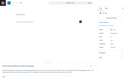 Page screenshot: Add Post ‹ Test site — WordPress