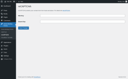 Page screenshot: Snow Monkey Forms → reCAPTCHA