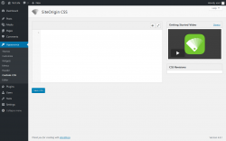 Page screenshot: Appearance &rarr; Custom CSS