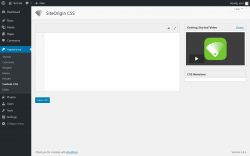 Page screenshot: Appearance &rarr; Custom CSS
