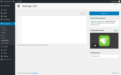Page screenshot: Appearance &rarr; Custom CSS
