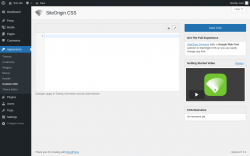 Page screenshot: Appearance &rarr; Custom CSS