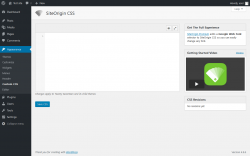 Page screenshot: Appearance &rarr; Custom CSS