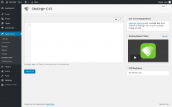 Page screenshot: Appearance &rarr; Custom CSS