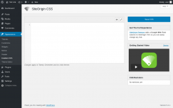 Page screenshot: Appearance &rarr; Custom CSS