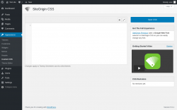 Page screenshot: Appearance &rarr; Custom CSS