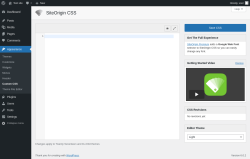 Page screenshot: Appearance &rarr; Custom CSS