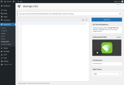 Page screenshot: Appearance &rarr; Custom CSS