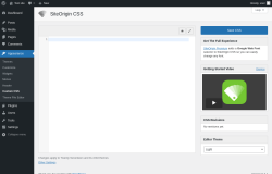 Page screenshot: Appearance &rarr; Custom CSS