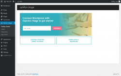 Page screenshot: Getting Started ‹ Test site — WordPress