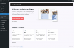 Page screenshot: Opinion Stage