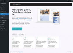 Page screenshot: Opinion Stage