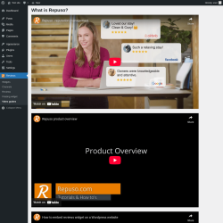 Page screenshot: Reviews → Video guides