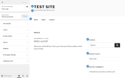 Page screenshot: Solace → Customization