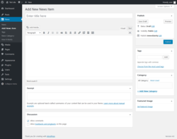 Page screenshot: News → Add News Item