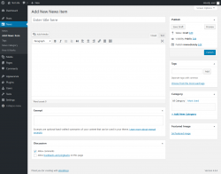 Page screenshot: News → Add News Item