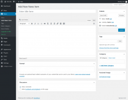 Page screenshot: News → Add News Item