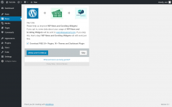Page screenshot: News ‹ Test site — WordPress