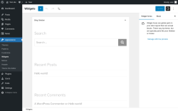 Page screenshot: Widgets ‹ Test site — WordPress