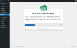 Page screenshot: News ‹ Test site — WordPress