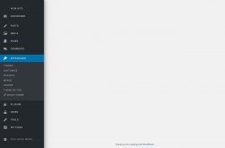Page screenshot: Appearance &rarr; 