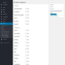 Page screenshot: Tools &rarr;  Widget Manager