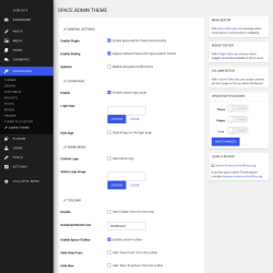 Page screenshot: Appearance &rarr; 🚀 Admin Theme
