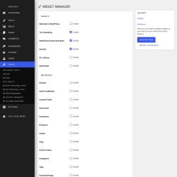 Page screenshot: Tools &rarr; 🚀 Widget Manager