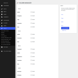 Page screenshot: Tools &rarr; 🚀 Column Manager
