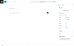 Page screenshot: Add New Post ‹ Test site — WordPress