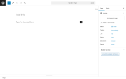 Page screenshot: Add New Page ‹ Test site — WordPress