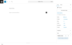 Page screenshot: Add Post ‹ Test site — WordPress