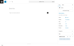 Page screenshot: Add Post ‹ Test site — WordPress