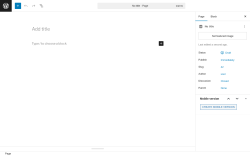 Page screenshot: Add Page ‹ Test site — WordPress