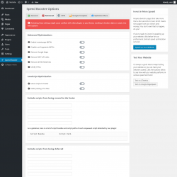 Page screenshot: Speed Booster &rarr;  Advanced
