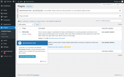 Page screenshot: Plugins &lsaquo; Test site &mdash; WordPress