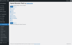 Page screenshot: Speed Booster &lsaquo; Test site &mdash; WordPress