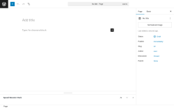Page screenshot: Add Page ‹ Test site — WordPress