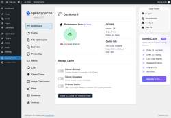 Page screenshot: SpeedyCache
