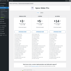 Page screenshot: Post Slider → Upgrade  ➤