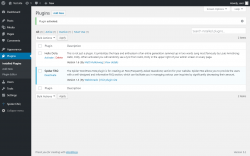 Page screenshot: Plugins &lsaquo; Test site &mdash; WordPress
