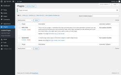 Page screenshot: Plugins &lsaquo; Test site &mdash; WordPress