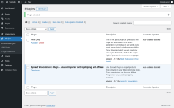 Page screenshot: Plugins ‹ Test site — WordPress