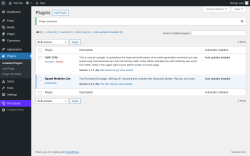 Page screenshot: Plugins ‹ Test site — WordPress