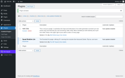Page screenshot: Plugins ‹ Test site — WordPress