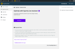 Page screenshot: Squirrly SEO → Optimize