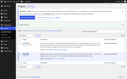Page screenshot: Plugins &lsaquo; Test site &mdash; WordPress